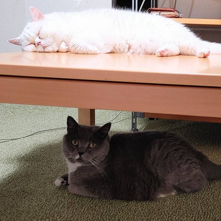 B4bebfbc 6c5f 4e1b 92de 948bfaee7c9d 1659184088547