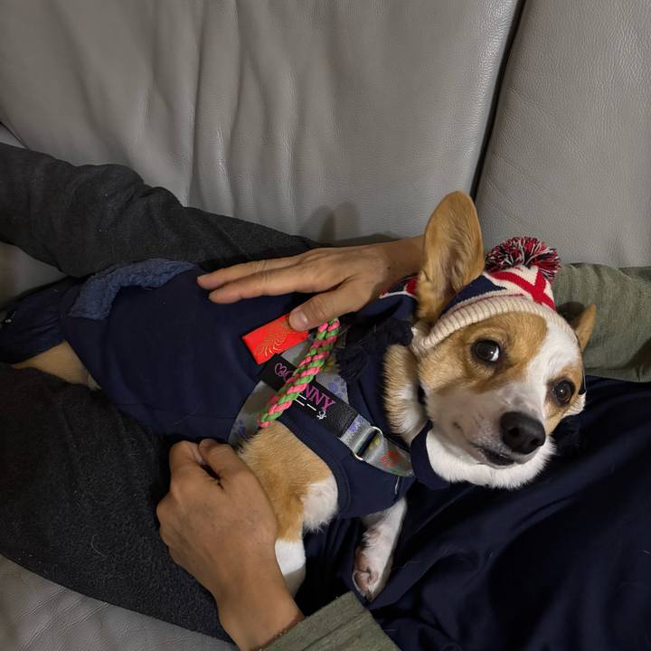 B4bec0ff c32e 4b06 907d 9aae889061bf 1764452210157