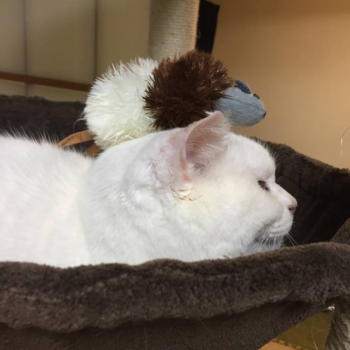 B4bee268 1ddc 4fa8 9879 c7e92f028240 1518008005070