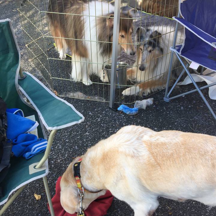 B4beecaf 39ba 43de 9445 1e8026aec2bf 1539509967099