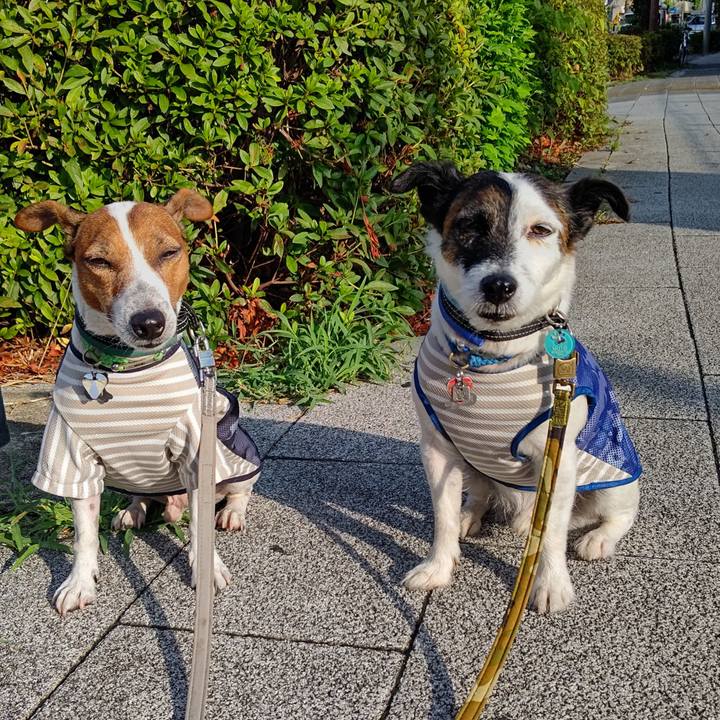 B4bf1012 f8d8 4d9a a67f 41adc499bf7b 1692137770352