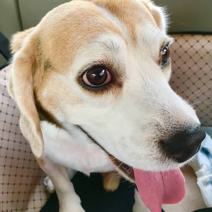 B4bf197f 0613 4a0b a2cf 99118473029f 1746934690240