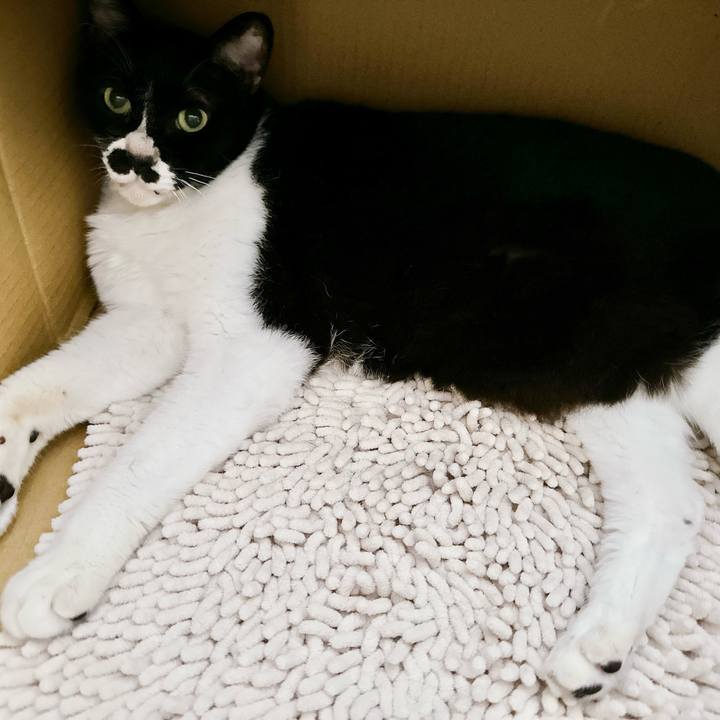 B4bf1f5b 84d2 4e42 8b83 d0f613d99e00 1720217538999