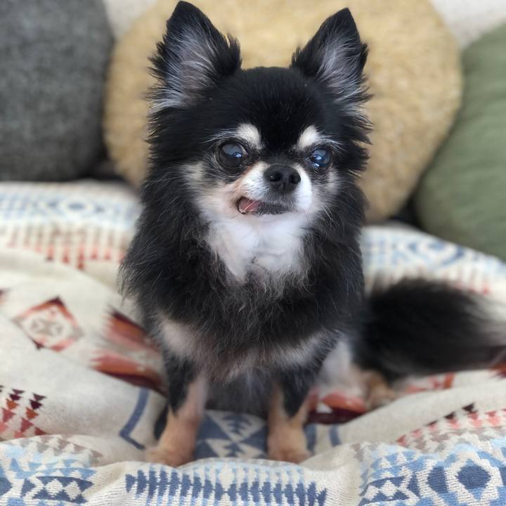 B4bf666e 26ac 418b b141 d5e7306d6d28 1764590343616