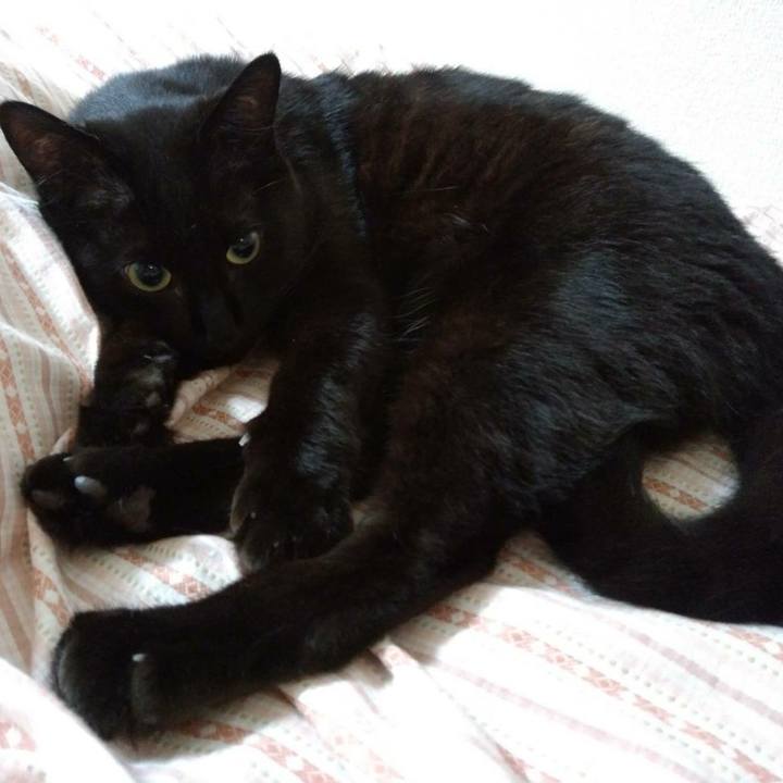 B4bf68be 2b0f 4a37 aadf a36a091ef5e8 1596971370543