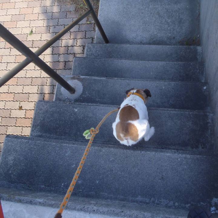 B4bf983a 1cb6 4f1b a59d 441659ef74cc 1520335565332