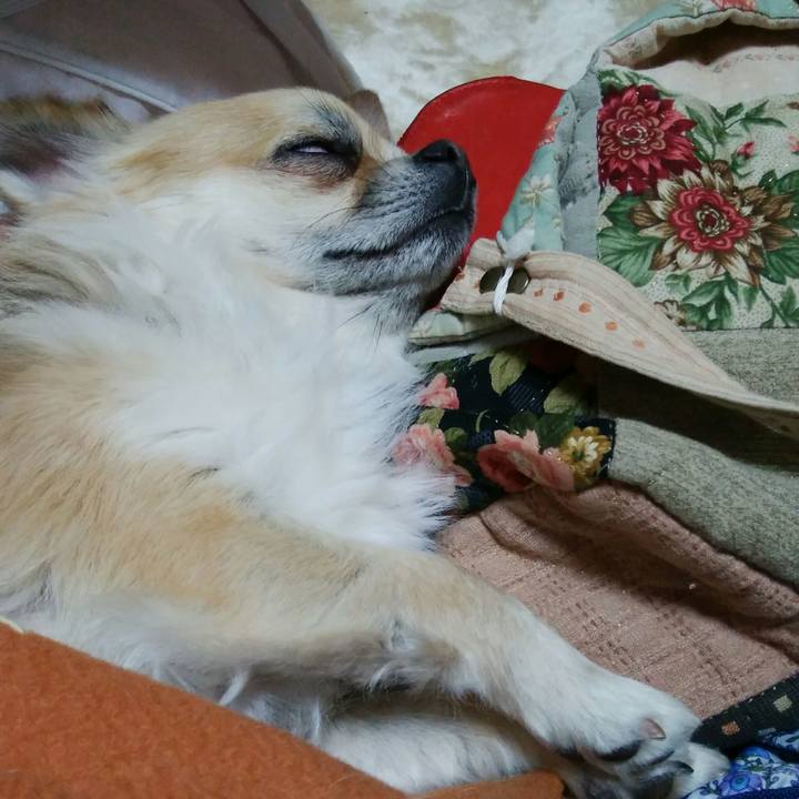 B4bfa258 7958 4a6b b3c0 6c4cbec757e0 1515499174816