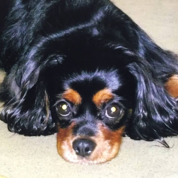 B4bfad17 db00 4a50 b0ab 6e57a7186f35 1560865998384