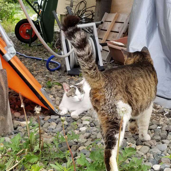 B4bfafc6 8e5f 4749 bb58 768020a73541 1591829721554