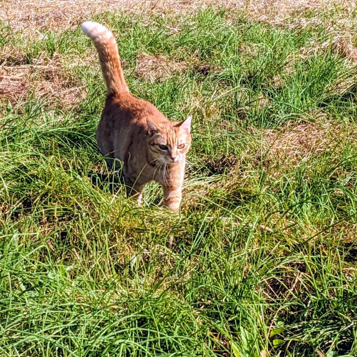 B4bfe1dc 6b4f 445a ac3f 7f032beb1202 1761881394192