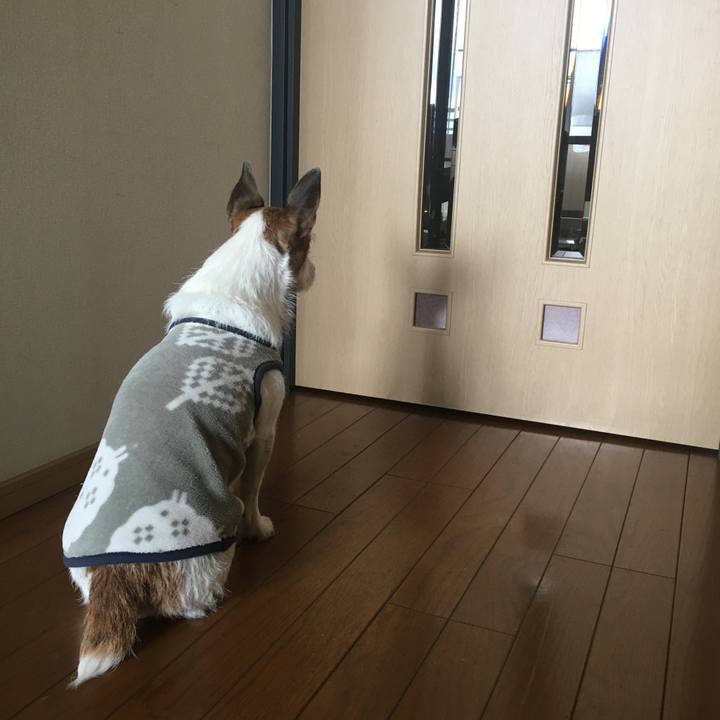 B4bff5f8 772f 4b72 a9fd 44c9c0b45366 1644624952765