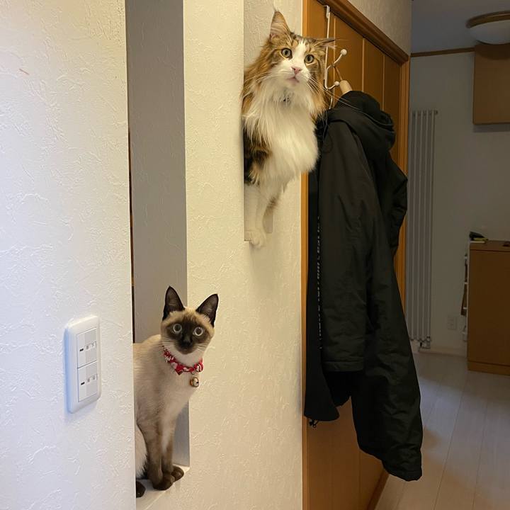 B4c00ab3 c1a3 4067 b86b 25b50916b779 1703013252560