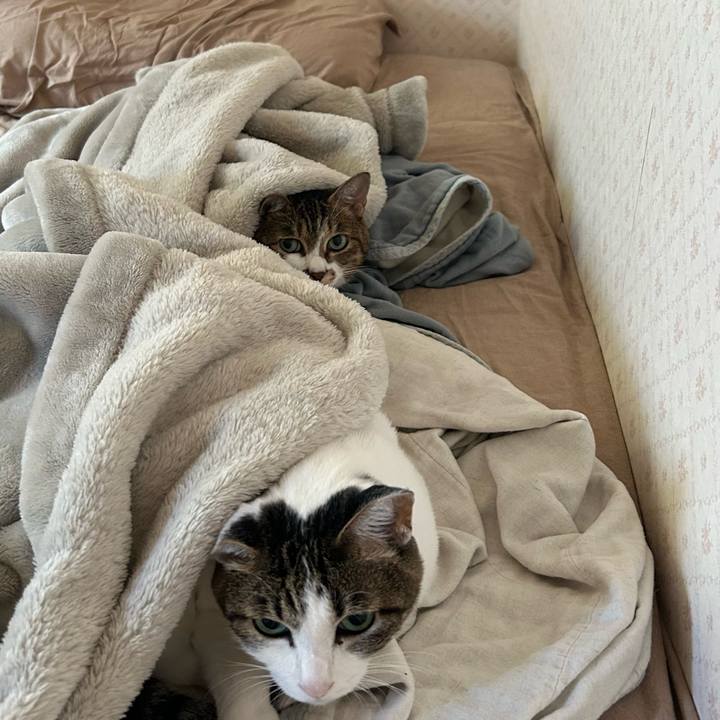 B4c02803 7245 4e52 bb6b 48f5adb7c7a0 1696198440370