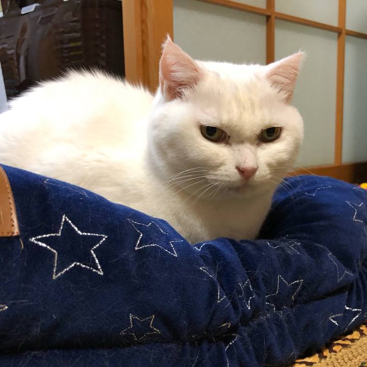 B4c05bf3 b211 4df2 9b12 e63aa13c5fce 1580997951122