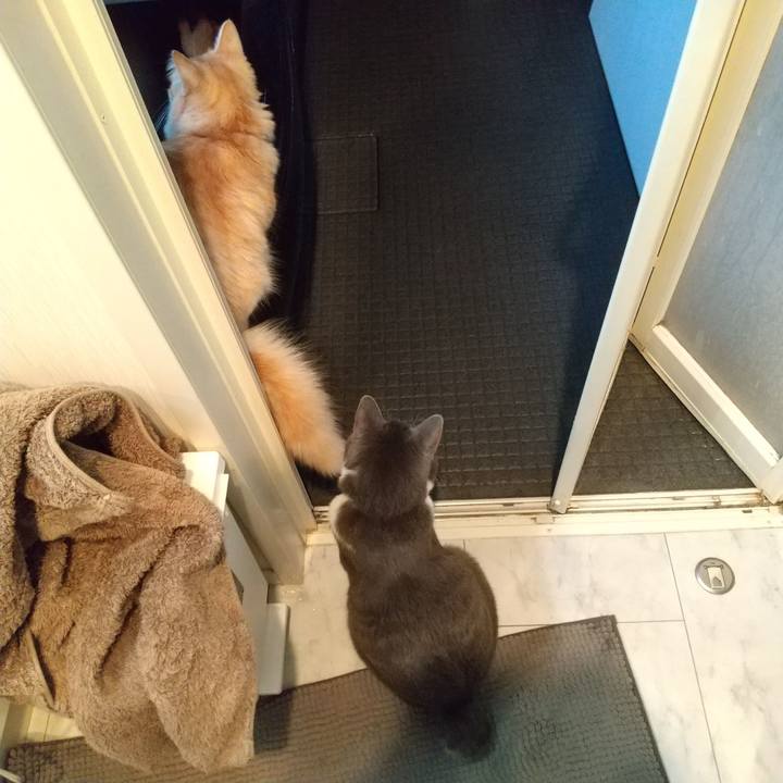 B4c07947 9d1b 4eaa 9896 9b469ed6b001 1635803385618