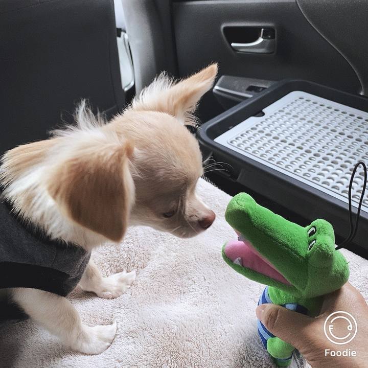 B4c0947d 6a9f 4c3e bf97 370380ba9be3 1600657114682