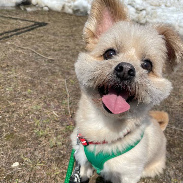 B4c09647 4931 4fcd 9b48 dc9d51b82504 1649572111489