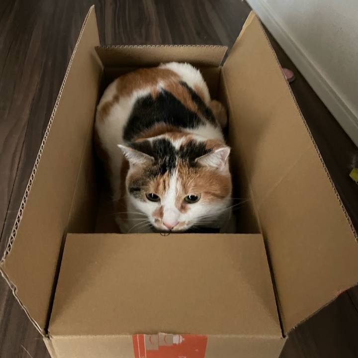 B4c0d22e 1a95 4f9a 85e4 03c0e597a05e 1669951301780