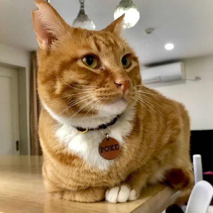 B4c0dcb6 be32 4510 a6e8 f04076dceae3 1587131529683