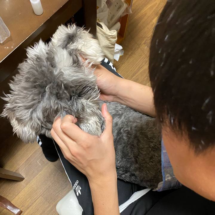 B4c0eb04 611a 4510 b615 a3c115c495e1 1587131063500