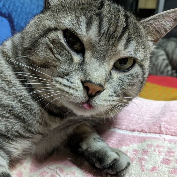 B4c0fa70 9a63 4fcc b8fb 221c869bc297 1706346909175