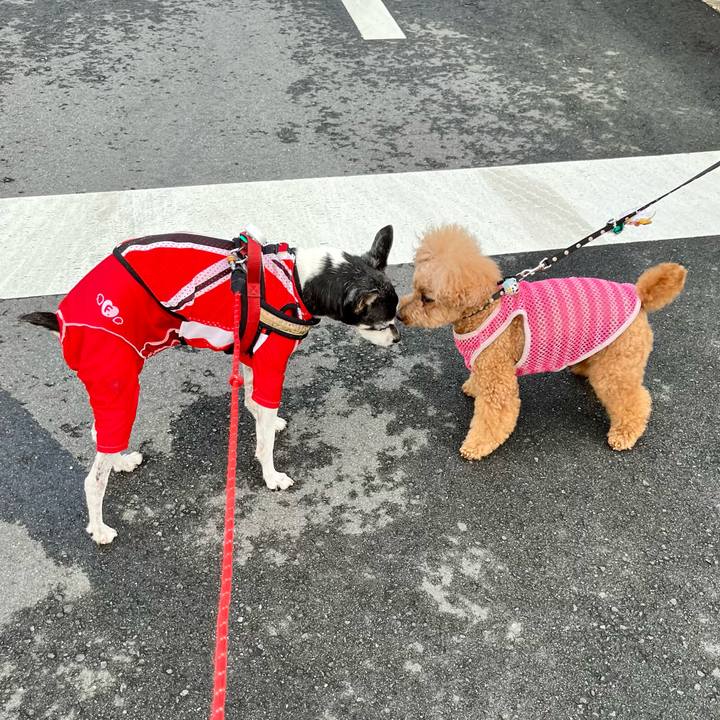 B4c1325c f2e5 44ed afec 05d60bbf0e6a 1650836924162