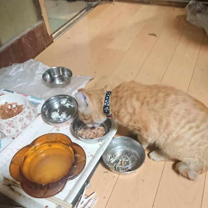 B4c165e7 480f 4110 824a d63f303e9aa3 1634203260360