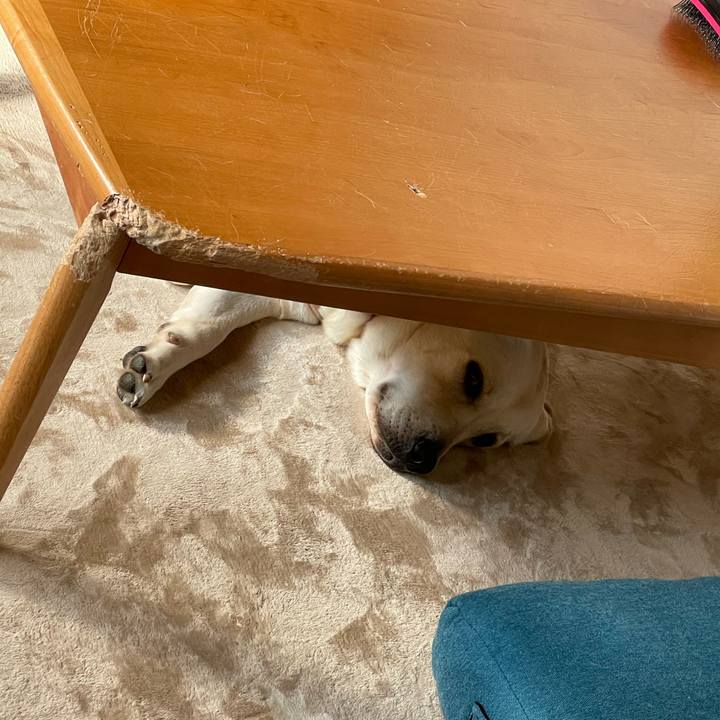 B4c1a62c 58a7 4b93 808f 3606d28b4e26 1636071511328