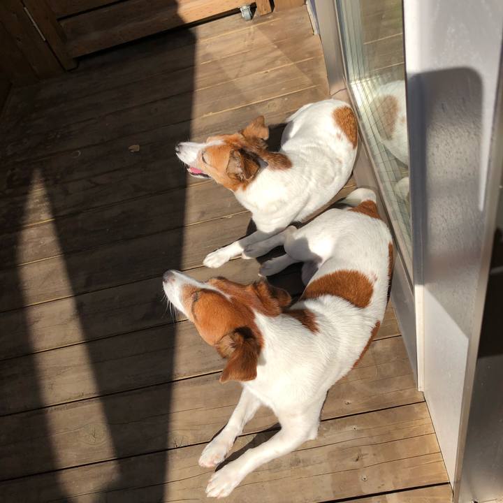 B4c1ba65 0283 43b5 8a42 4215d52b91c6 1540440942005