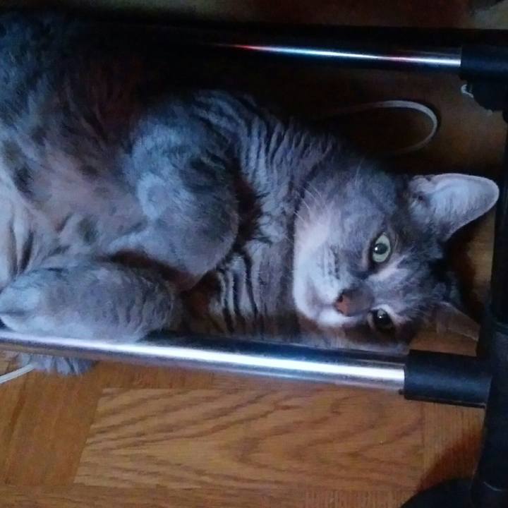 B4c1c56b 7006 4757 978e 2a14de2c6323 1533270393671