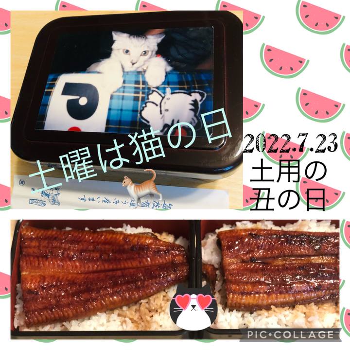 B4c20af9 6bec 44ea bd81 c3d79fb2b5d6 1658568672108