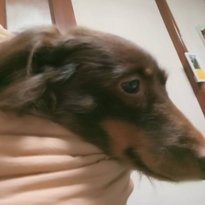 B4c2176d fef2 49e7 b167 3b55cf4a2f4d 1770843737111