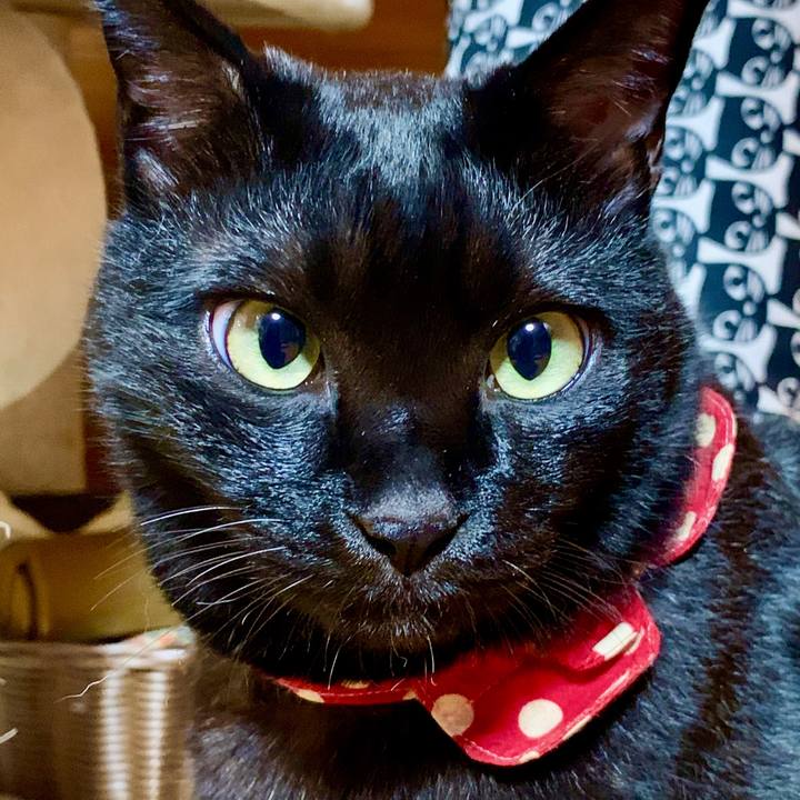 B4c22ab4 d735 4430 8d74 4b9ad6f4adbd 1602333182365