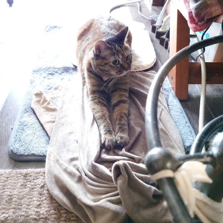 B4c22d8c 3dce 4992 9e4c 0f8ff5191bac 1760305911606