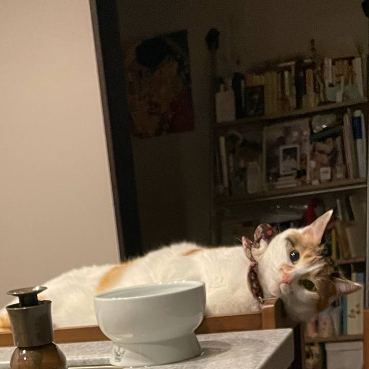 B4c26ffa ff43 4ed3 8d18 7532a837130d 1745502032902