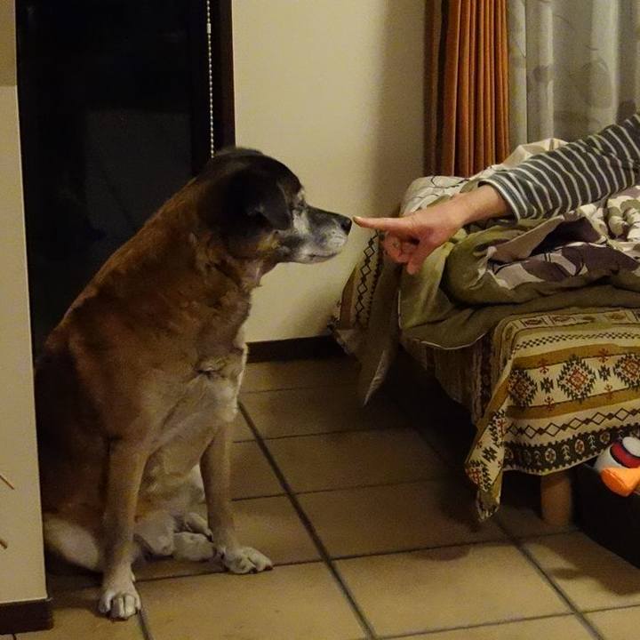 B4c2af93 861b 46cd 9612 daae26988627 1546771885480