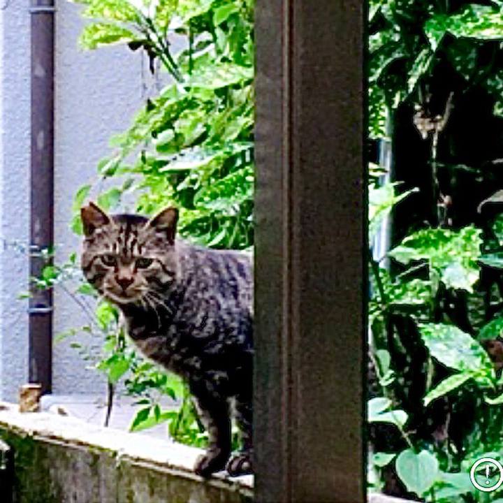 B4c333c3 505d 47d1 bcc0 99770e22bdb7 1630638877215