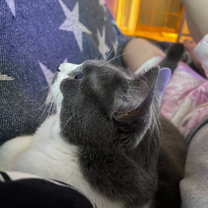 B4c33684 c8fe 4e3b a6c9 0b91a1c8ce97 1652430994816