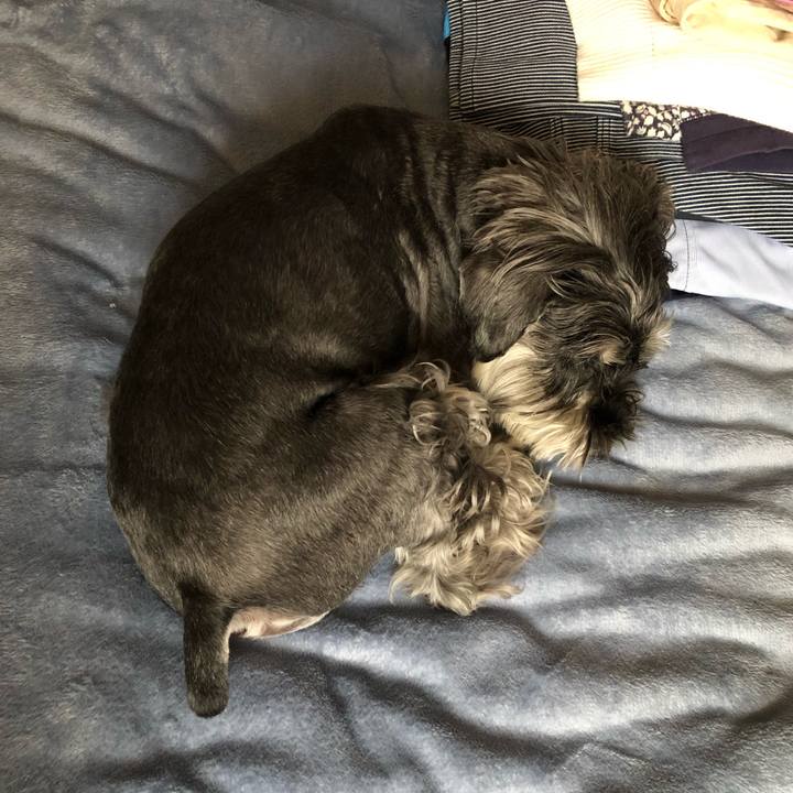 B4c359ba 9f3b 49e9 95e3 39bc3669363a 1687076231400