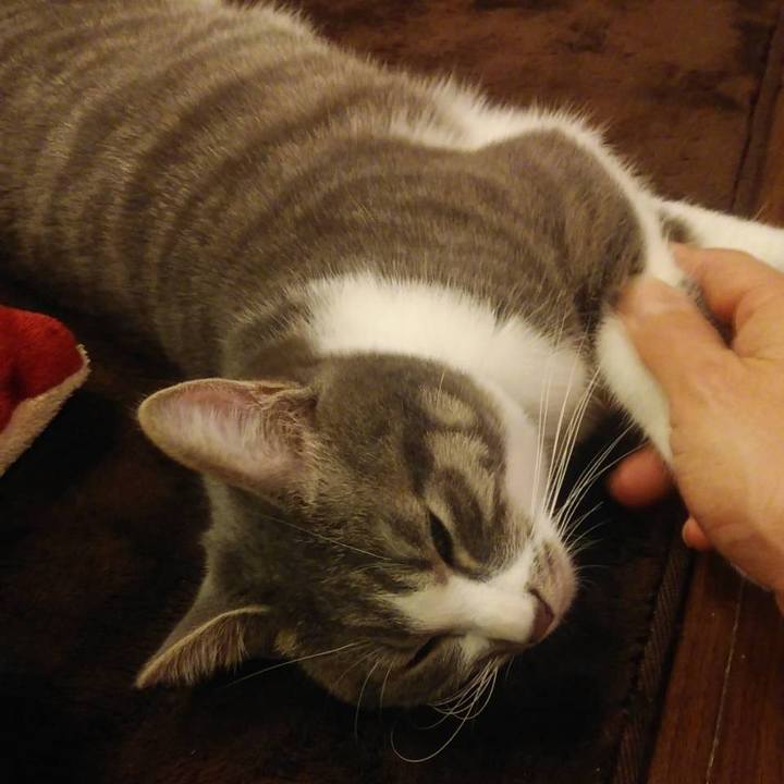 B4c3f723 4f85 4892 afc5 90bab2a9660d 1581424189657