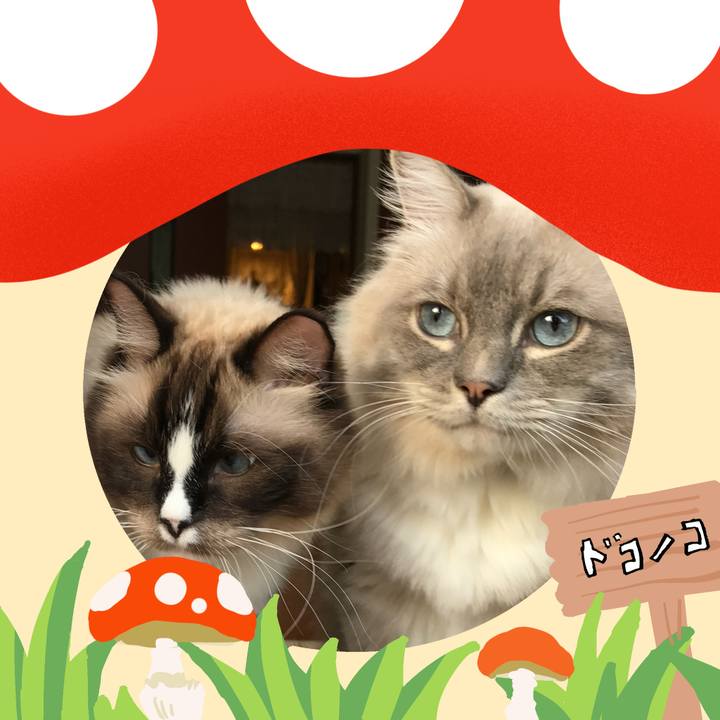 B4c42195 fdfd 436a 93f1 607d736c7838 1729167777466