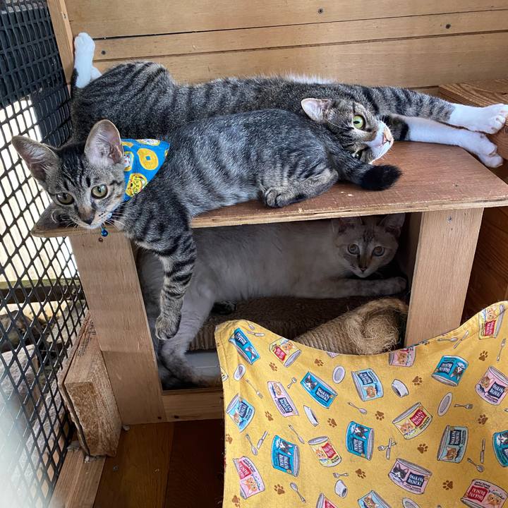 B4c4791a 0150 447a 9768 40aeed0fa839 1660211645499