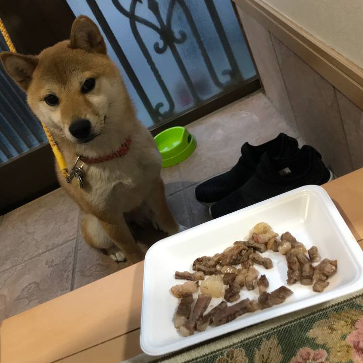 B4c49450 aa3a 4bed 8ce3 9cd334168f09 1526468099037