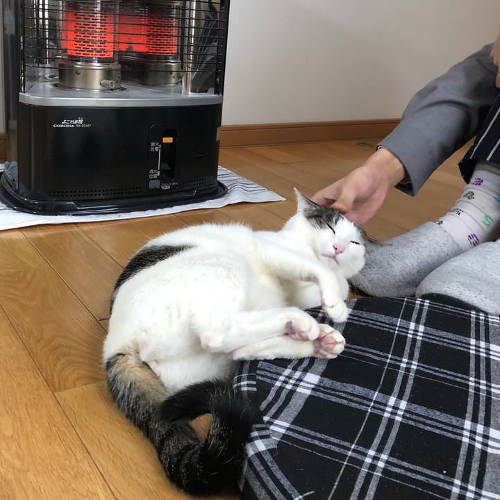 B4c495bc 7080 4bb3 a518 9426918fa04a 1612140933753