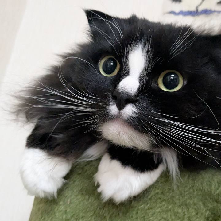 B4c4cb65 7c59 410a a438 0bf8890ee0e4 1738885491868