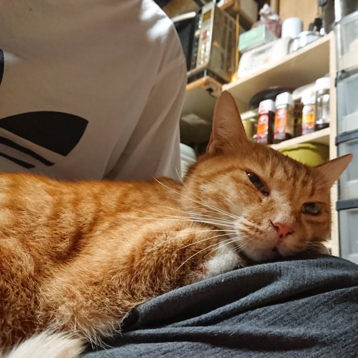 B4c4f7cc 8a83 4777 a881 09186ece8b05 1600200137106