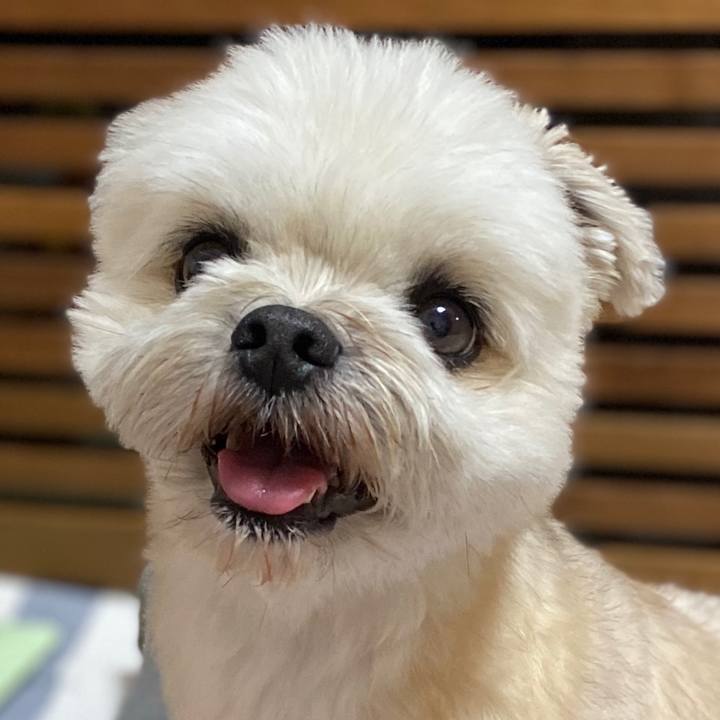 B4c50f69 4b5e 4000 a00f 48c6c48c6210 1592481214979