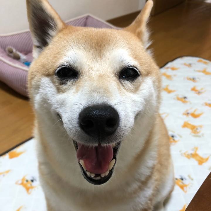 B4c52e11 c117 49a7 8fd0 2d23bd616893 1568675813773