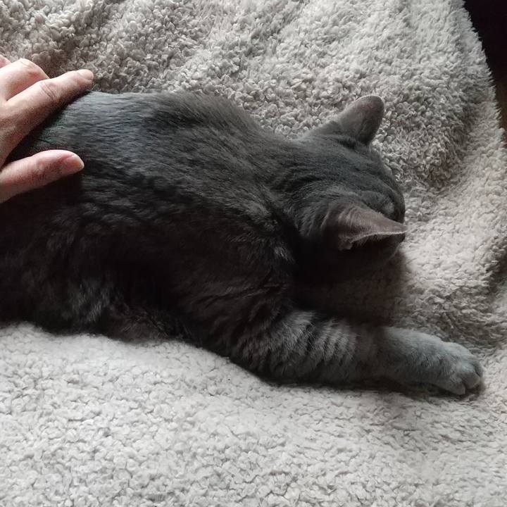 B4c5603f c6f4 4b08 9e9c afc0fb15916a 1684800045439