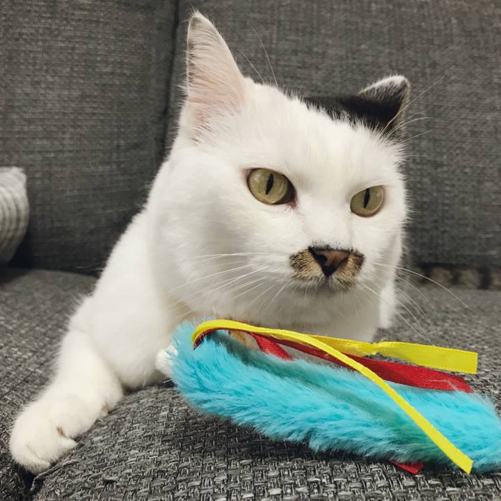 B4c58128 7e3d 49b6 b9c7 e5ab8e54bd20 1535789199460